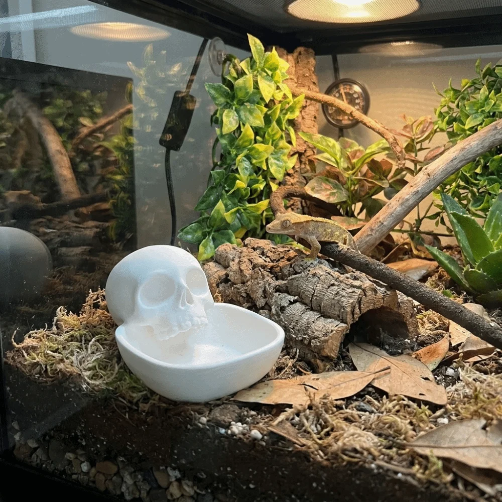 Halloween-Themed Reptile Feeding Bowl Anti-Spill Skeleton Design Pet Feeding Bowl Plastic Anti Slip Lizard Feeder Tortoise