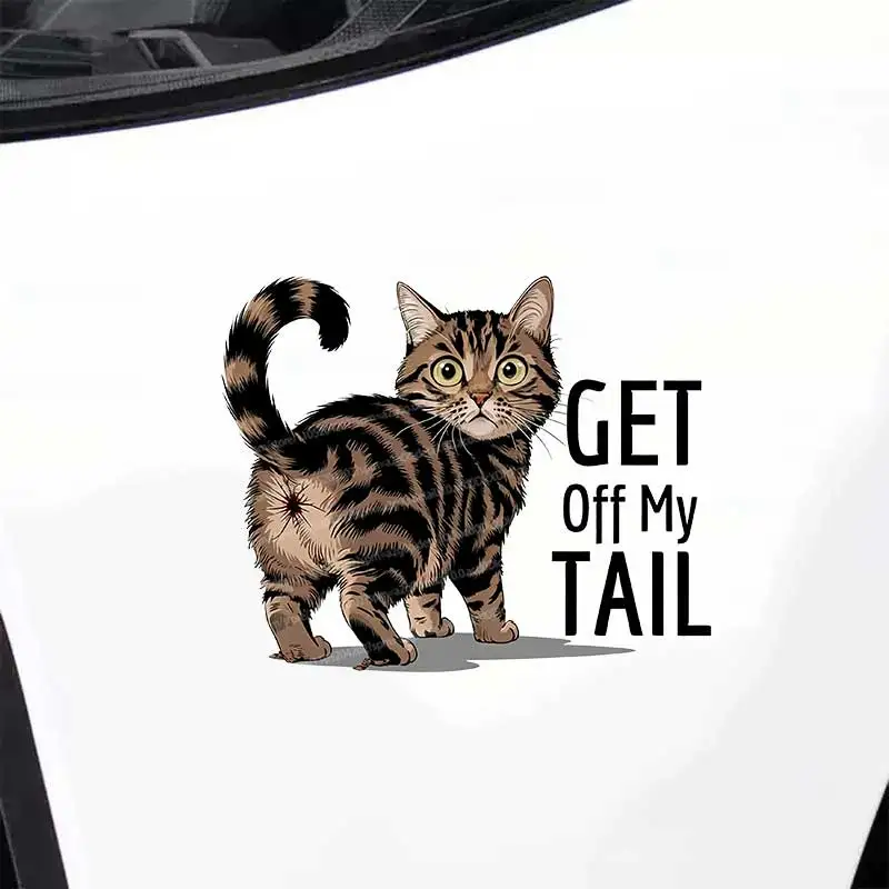 Fun Cat 