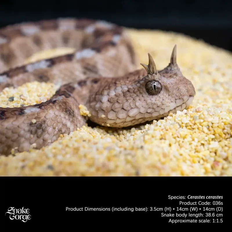 Horned Viper Model Micro Landscape Indoor Tabletop Miniature Animal Figure Realistic Snake Statue Home Office Desk  Resin Model