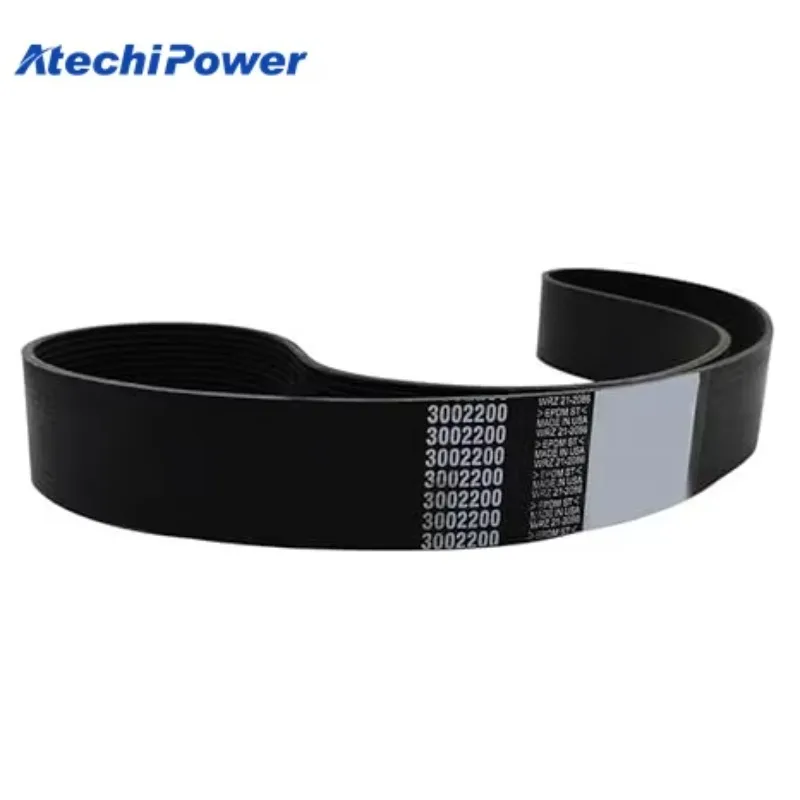 3002202/ 206996/3003341/3002203/3024614 حزام المروحة لمحرك المولد KT19 K19 K38 K50 KTA19