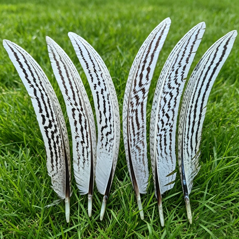 

50Pcs/Lot! 5-6inches 13-15cm Natural Curved SILVER PHEASANT Quill FEATHERS for Jewelry Making,DIY Handicraft Accessories