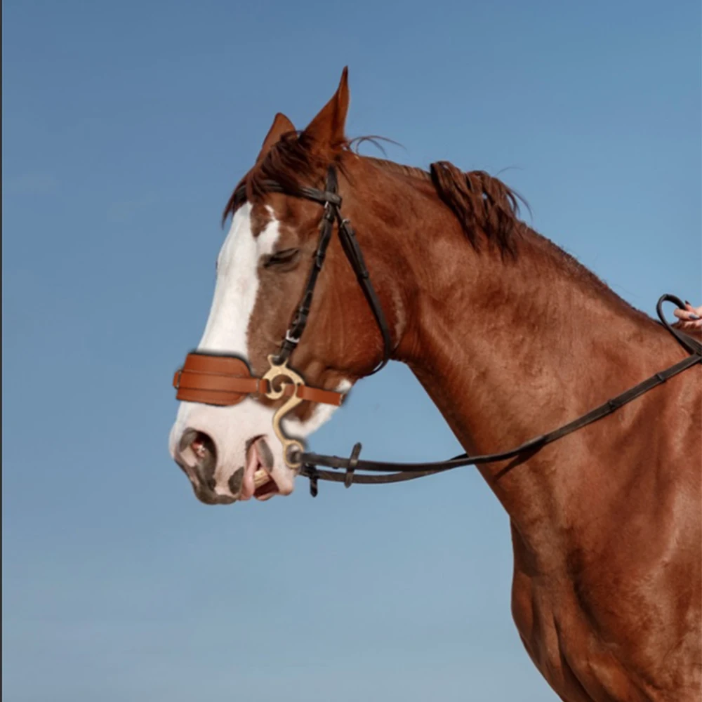 Broca de caballo, brida marrón, cuero acolchado, inglés, occidental, cadena ajustable para acera de nariz, equipo ecuestre para montar a caballo