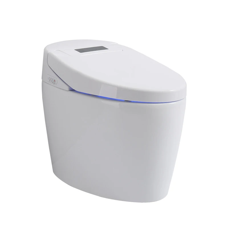 Luxury Toilets With Washing System Instant Hot Type Washing and Drying Smart Toilet