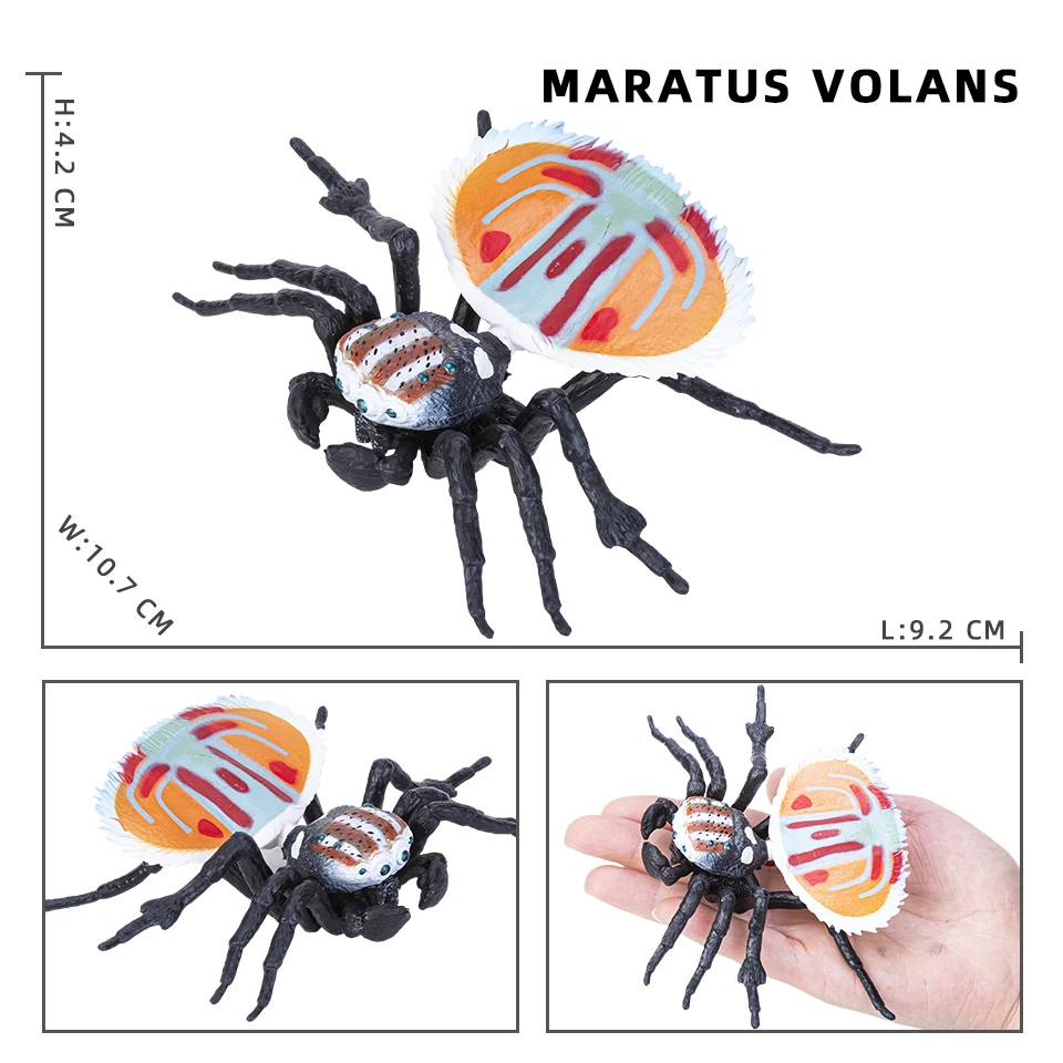 Simulation Tiere Insekt Solide Modell Spinne Tarantula Schwarze Spinne Halloween Scary Action-figuren Pädagogisches Spielzeug Für Kinder – Detail 5