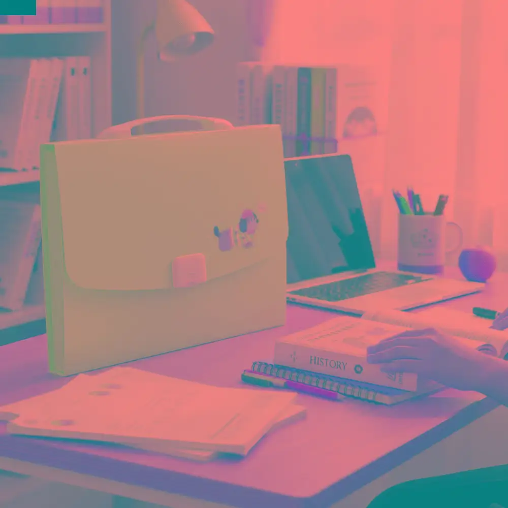 

13 Pockets Expanding File Folder a4 Size Large Capacity Paper Document Storage Holder Multi-Layer Cartoon Portable Organ Bag