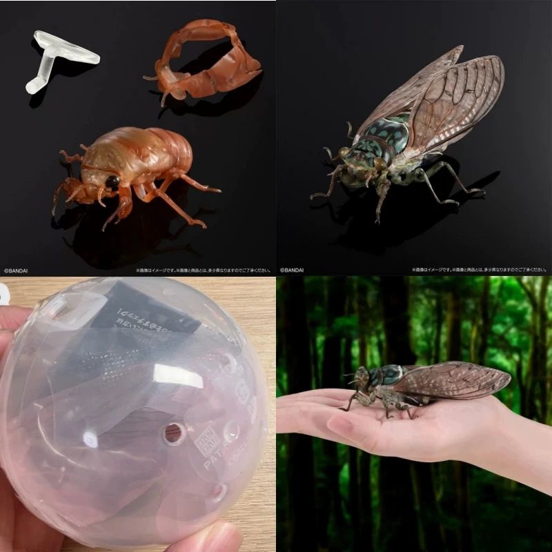 

В наличии оригинальная серия Bandai Gashapon Ikimono Daizukan Cicada – Hyalessa Maculaticollis, модель насекомого, игрушка в подарок