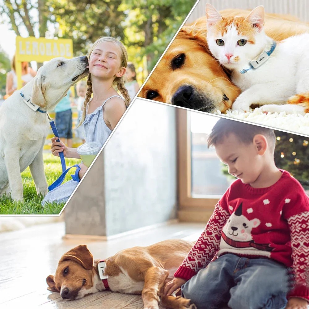 Dog GPS Tracker TK909 Waterproof IP65 Geofence Google Track GPS For Cat Collar Voice Monitor Mini GPS Locator For Dog FREE APP
