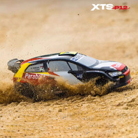 Lello XTS P12 RC Rally Car 1:12 Scale Professional Remote Control Off-Road Drift Racing Four-Wheel Drive Toy for Ages 14+