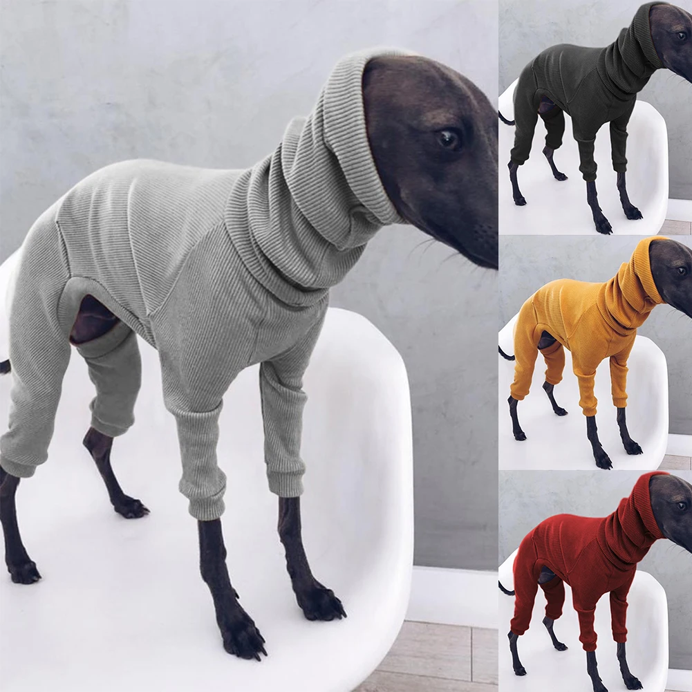 Haustier Pullover: Der perfekte Schutz für Hunde im Winter