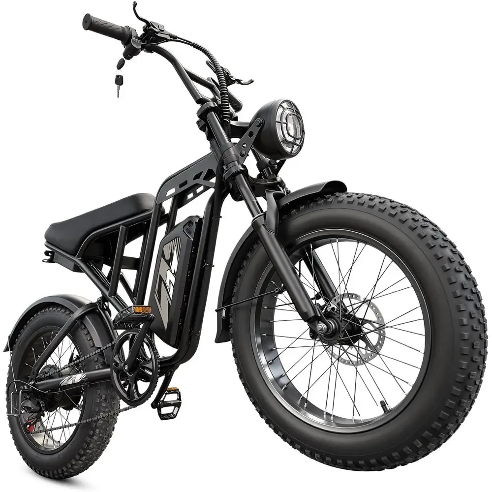 

1500W Peak 20x4 Tire Electric Bike, 28 MPH, 60-100 Miles Range, 48V 15Ah Removable Battery, Dual Suspension All-Terrain E-Bike f