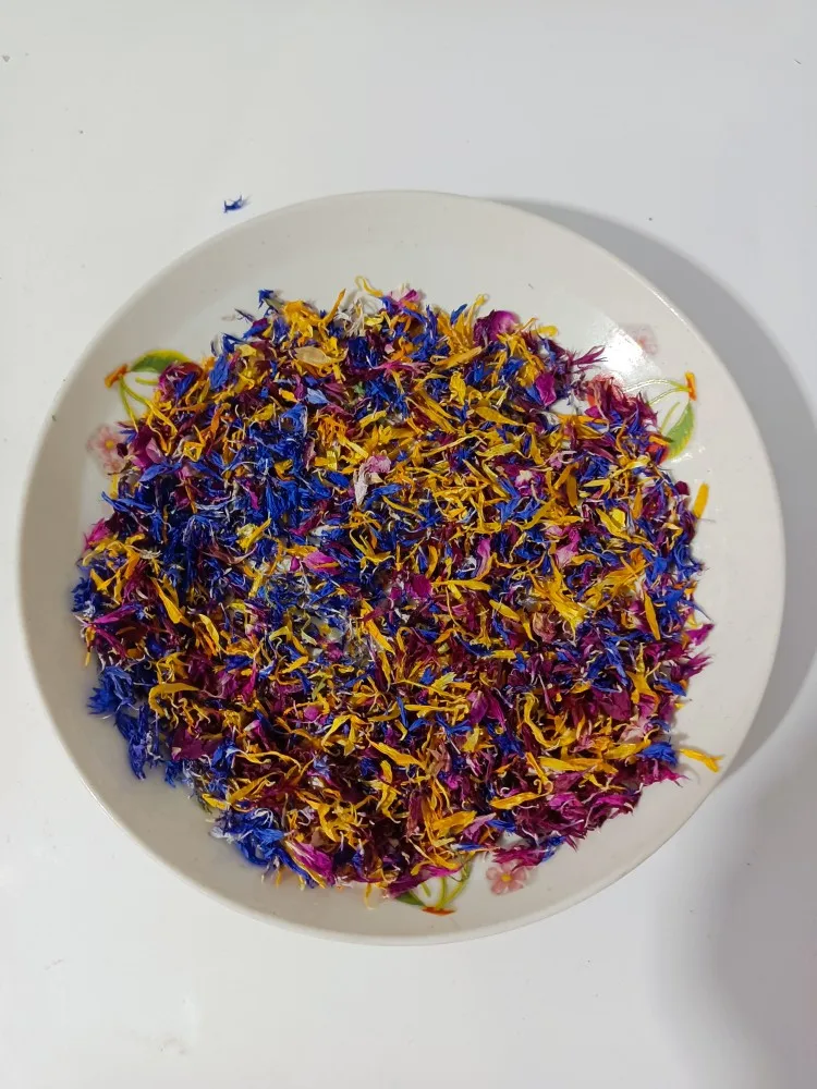 زهرة الأقحوان المزدوجة اللون مصنوعة يدويًا، بتلات بنفسجية مختلطة، زهرة زينة عطرية للديكور المنزلي، غير صالحة للأكل، زهرة مجففة