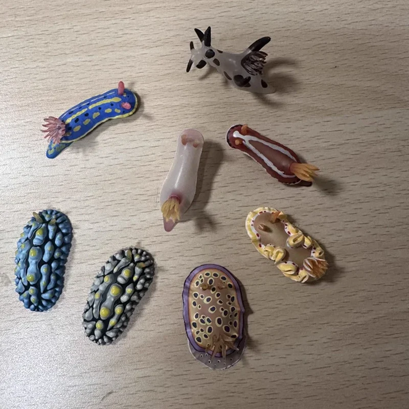 Limacidae Koelkastmagneet Gashapon Aandenken Kawaii Vakantiegeschenken Action Figure Model Speelgoed