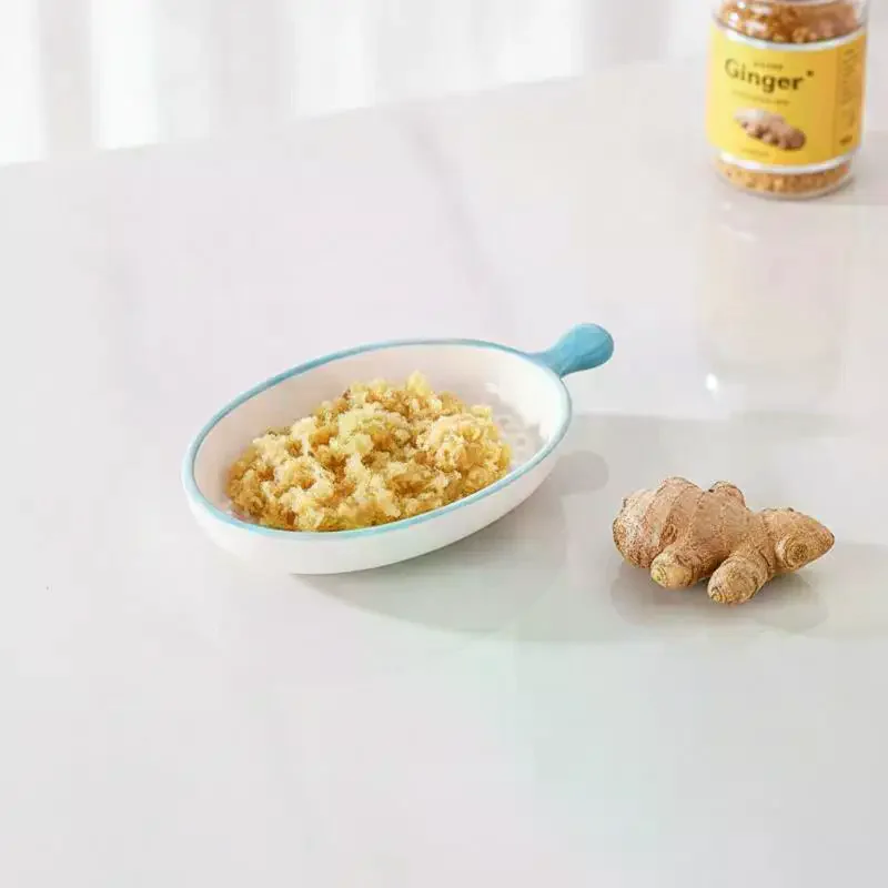 Japanische Keramik-Knoblauchreibeplatte aus Porzellan, Ingwer-Wasabi-Mühle mit Ausgießer, Küchenwerkzeug zur Herstellung von Pasten