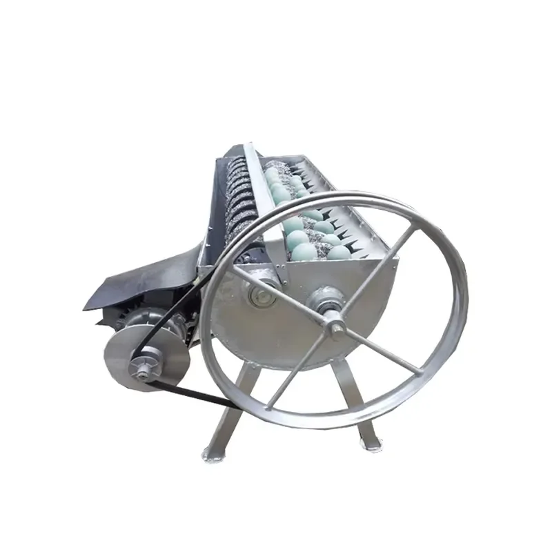 Commercial Automatic Small Duck Quail Chicken Egg Cleaning and Size Sorting Machinery Egg Grading Washing Machine Line for