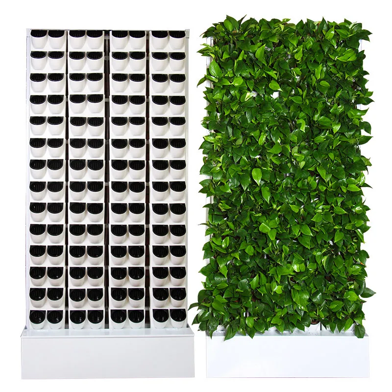 

2 meters of plants, wall automatic irrigation BG plastic, lazy