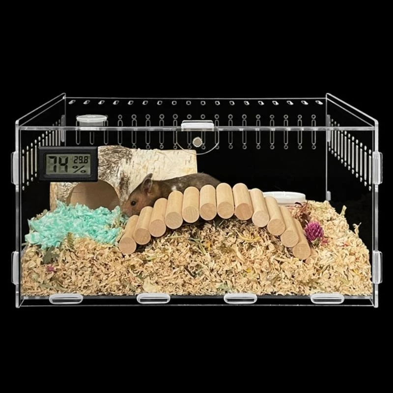 Reptiles alimentación caja alimentación Terrario acrílico Contenedor para arañas Lizards