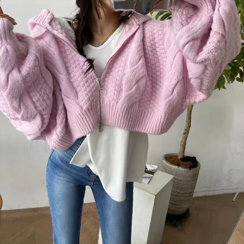 

New Fashion Long Sleeve Zipper Knitted Short Cardigan Sweater Women Casual Loose Hooded Women's Sweater Autumn Winter Clothes