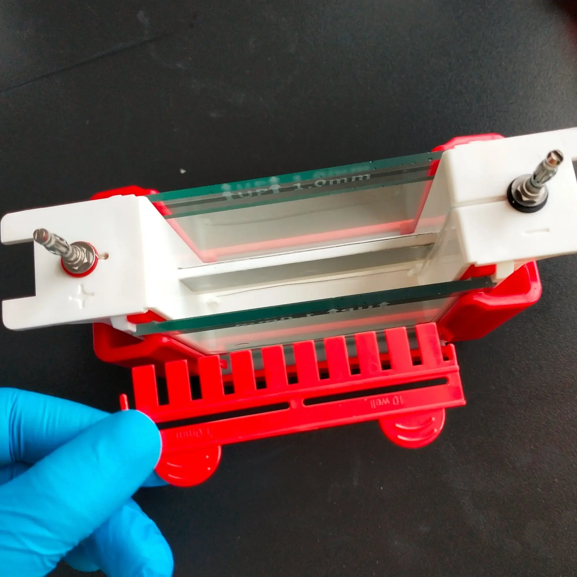 Peralatan Elektroforesis MINI Vertikal Gel Tangki Elektroforesis Instrumen Lab Penelitian Biologi Servis Plastik 95*87Mm