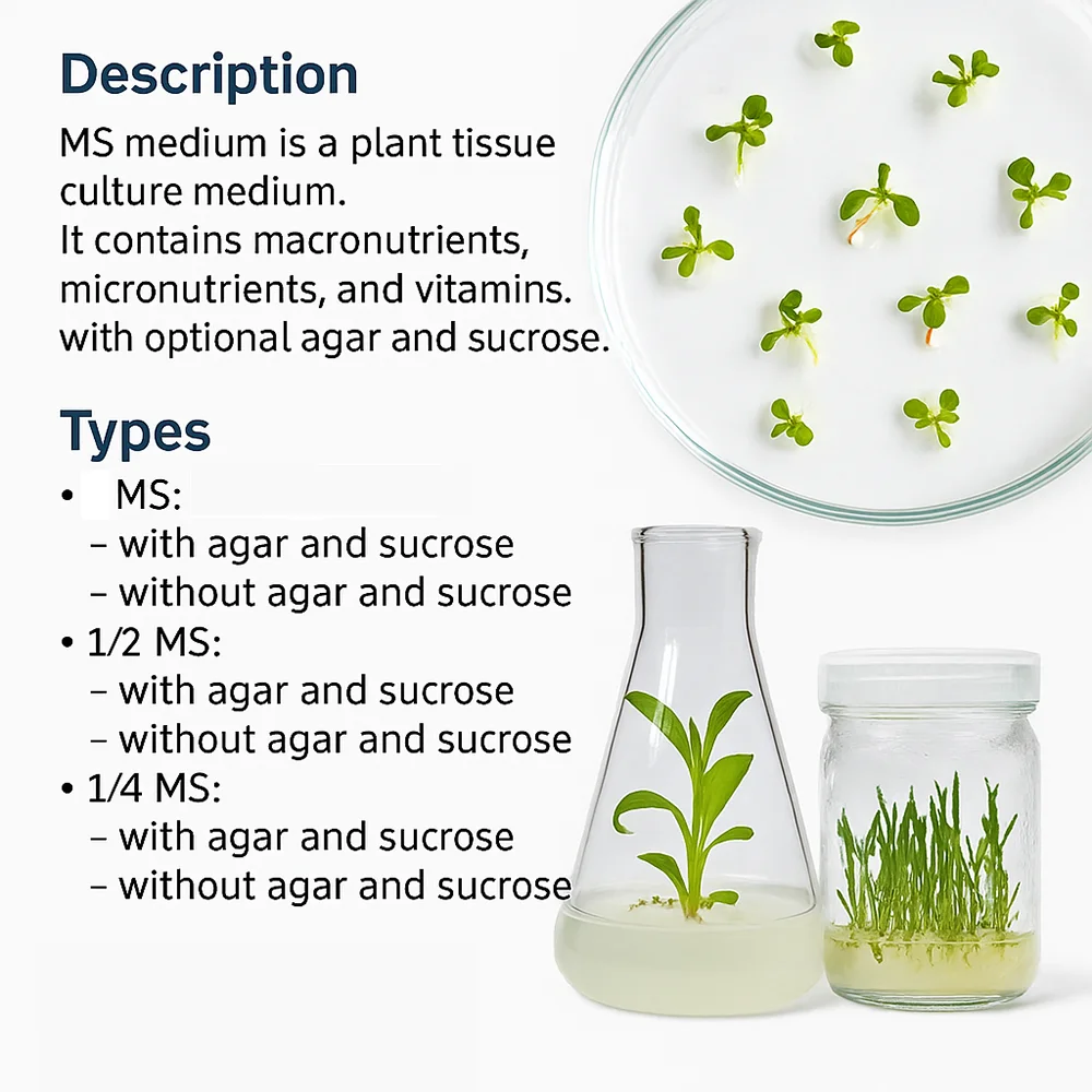 1/2 MS Medium 1/4 MS Medium Plant Tissue Culture With Without Sugar Agar 100g 250g One Half MS Medium One Quarter