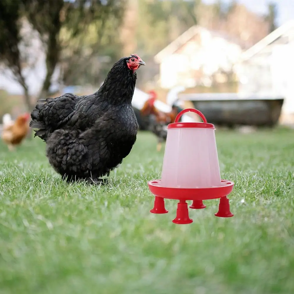 

Watering Supplies Stand Legs Poultry Feeder Removable Large Chicken Feeder Plastic 1/3L Capacity Feeding Bucket Farm Animal
