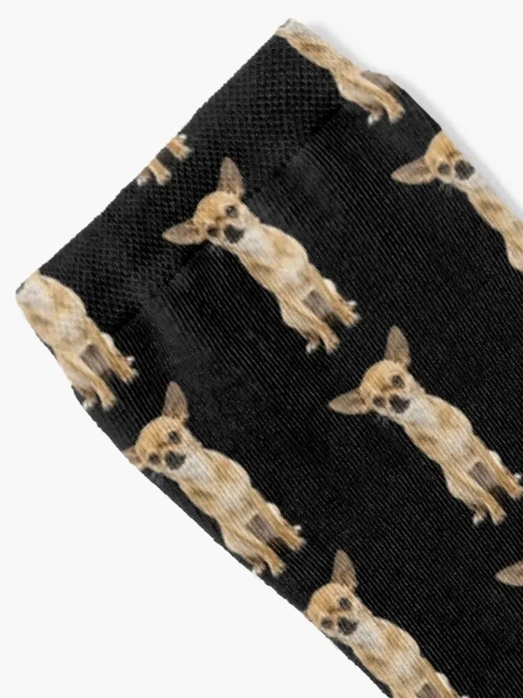 Chihuahua Socks professional running Toe sports Men's Socks Women's