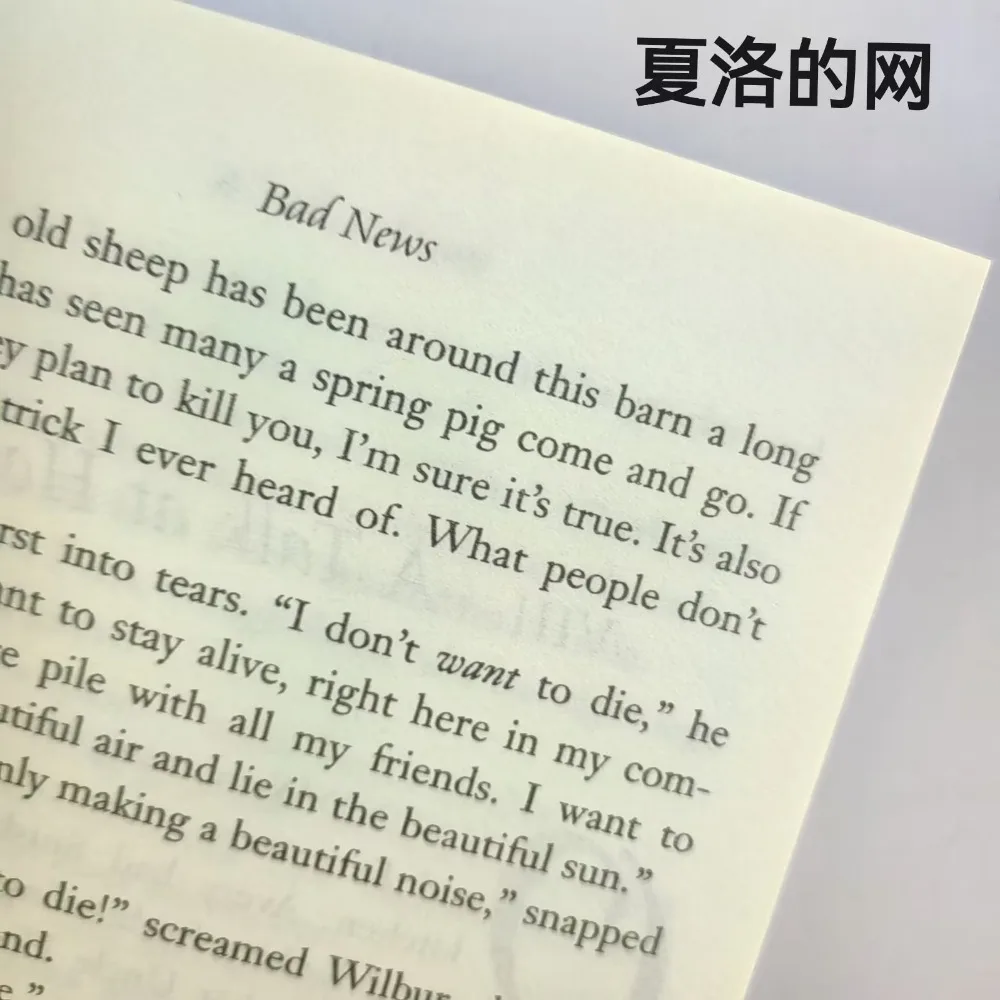 Charlotte's Web Newbery Versione inglese Romanzo Libro di fiabe Fiction