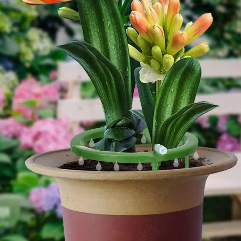 Automatic Drip Irrigation System Loop Self Watering Spike for Flower Plants Greenhouse Garden Auto Water Dripper Device