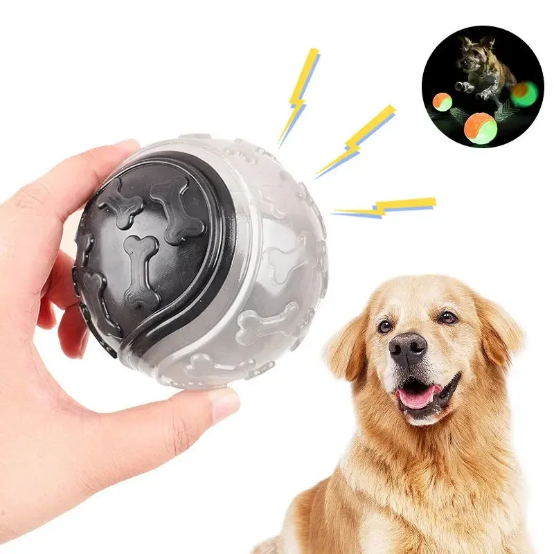 yZ[zp{[AJ茢p{[ApS{[A^E^pAvȌptFb`Aqpނ