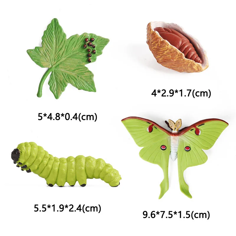 Latest Lifelike Animals Panda Moth Life Cycle Insect Penguin Frog Figurines DIY Action Figures Early Education Toys for Children