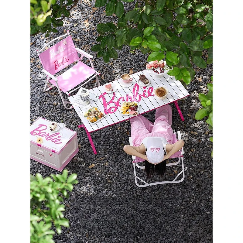 

Aluminum alloy camping folding portable tables and chairs
