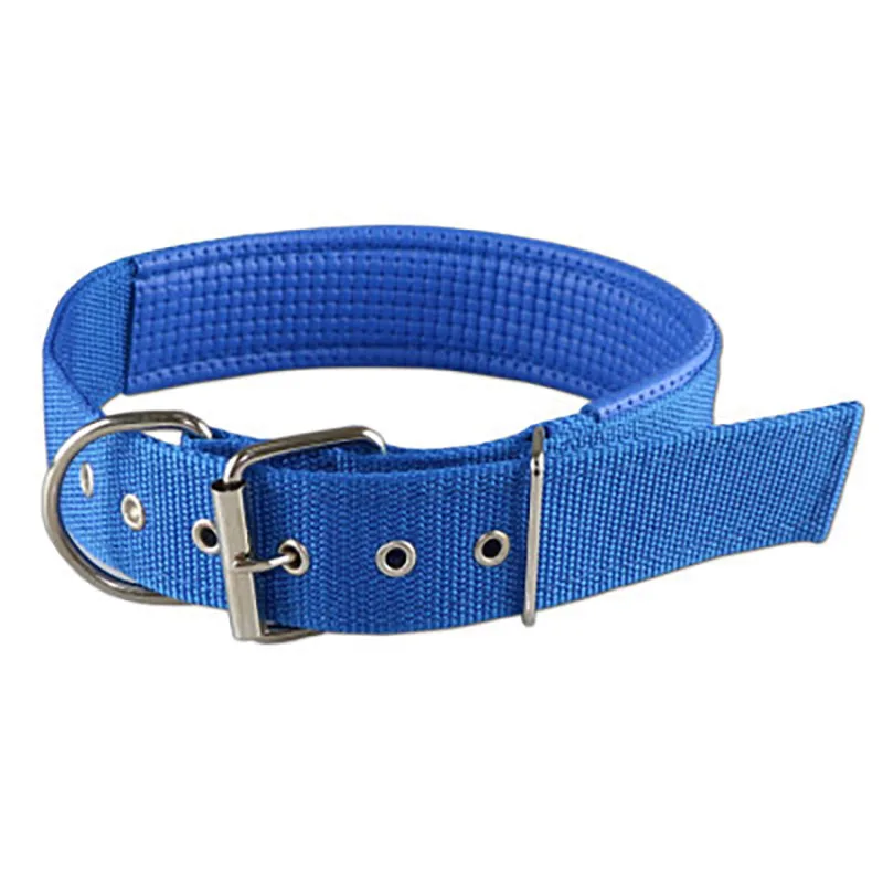 الياقات الصلبة طوق الكلب النايلون للكلاب الصغيرة والمتوسطة والكبيرة تيدي كيجي بيتبول بولدوج بيغل