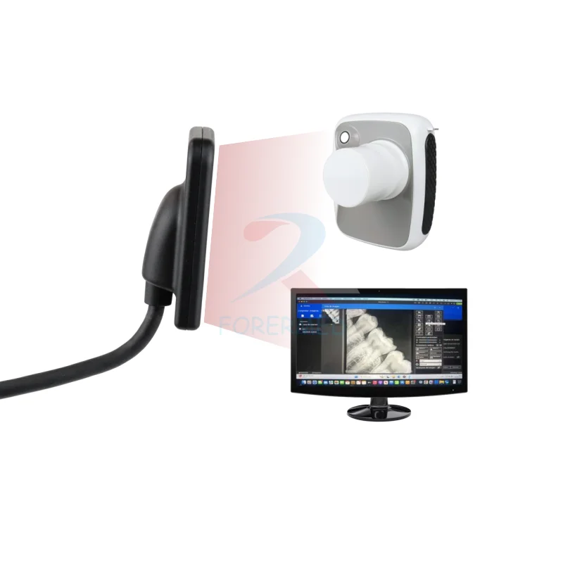 Best Price Digital HDR Nano Pix Dental Sensor Rvg Sensor Dental Xray Sensor for Dental Clinic