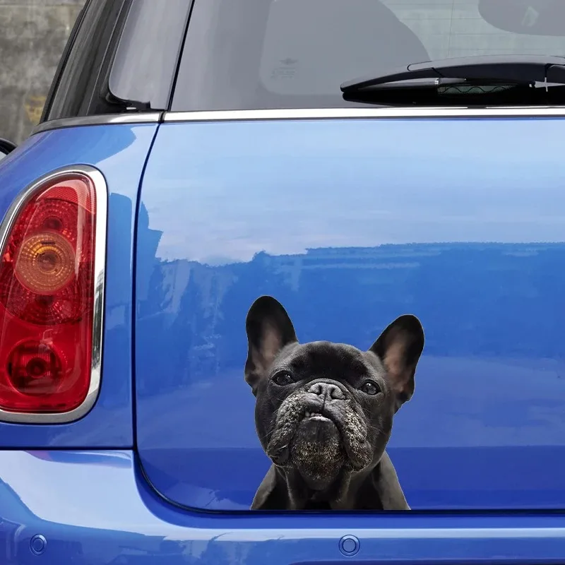 Pegatinas de ventana de parachoques de coche Bulldog Francés, decoración impermeable para calcomanías de moda de coche, pegatinas creativas de Material de vinilo 14,5x17cm