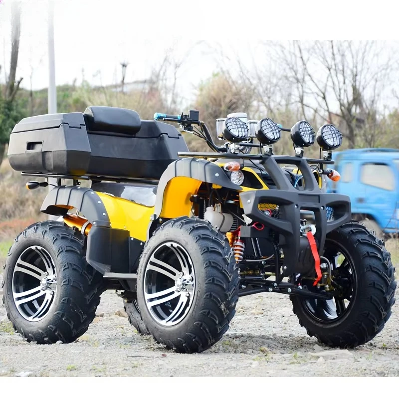 300Cc Gas Powered Quad Gas Quadrilateral Dune Racing Car