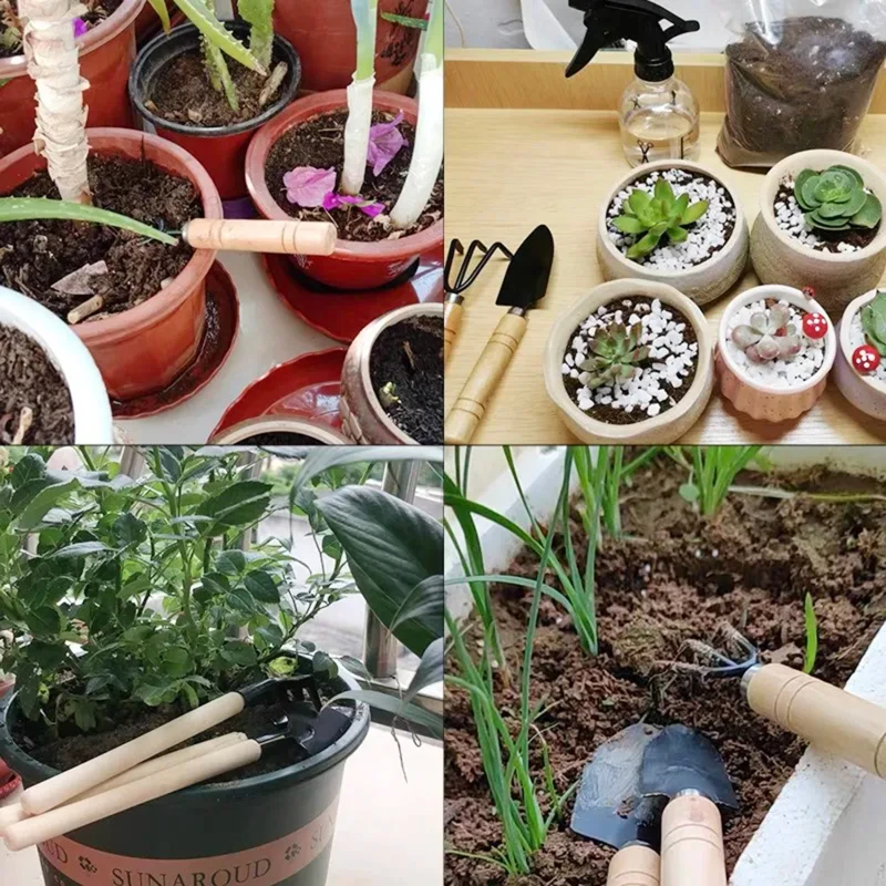 Mini juego de herramientas para macetas, herramientas de aflojamiento de jardinería suculenta, planta de mano al aire libre, rastrillo de pala de flores, 3 piezas por juego