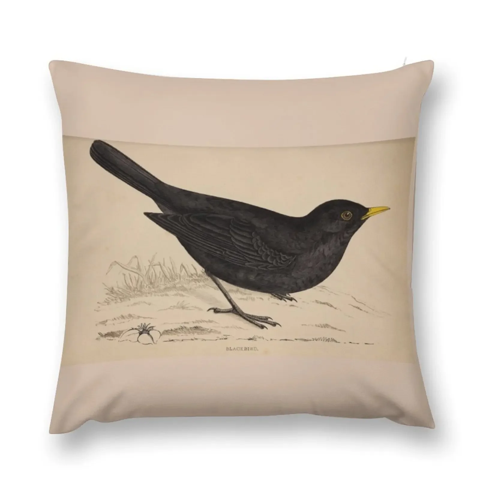 Naturalist Blackbird Throw Pillow christmas cushions covers Cushions For Sofa pillow