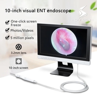 3.2mm/3.9mm 2M 10 Inch Digital Otoscope Ear Endoscope 5MP HD 1080P Remove Earwax For Adults, Children And Pets With 32GTF Card