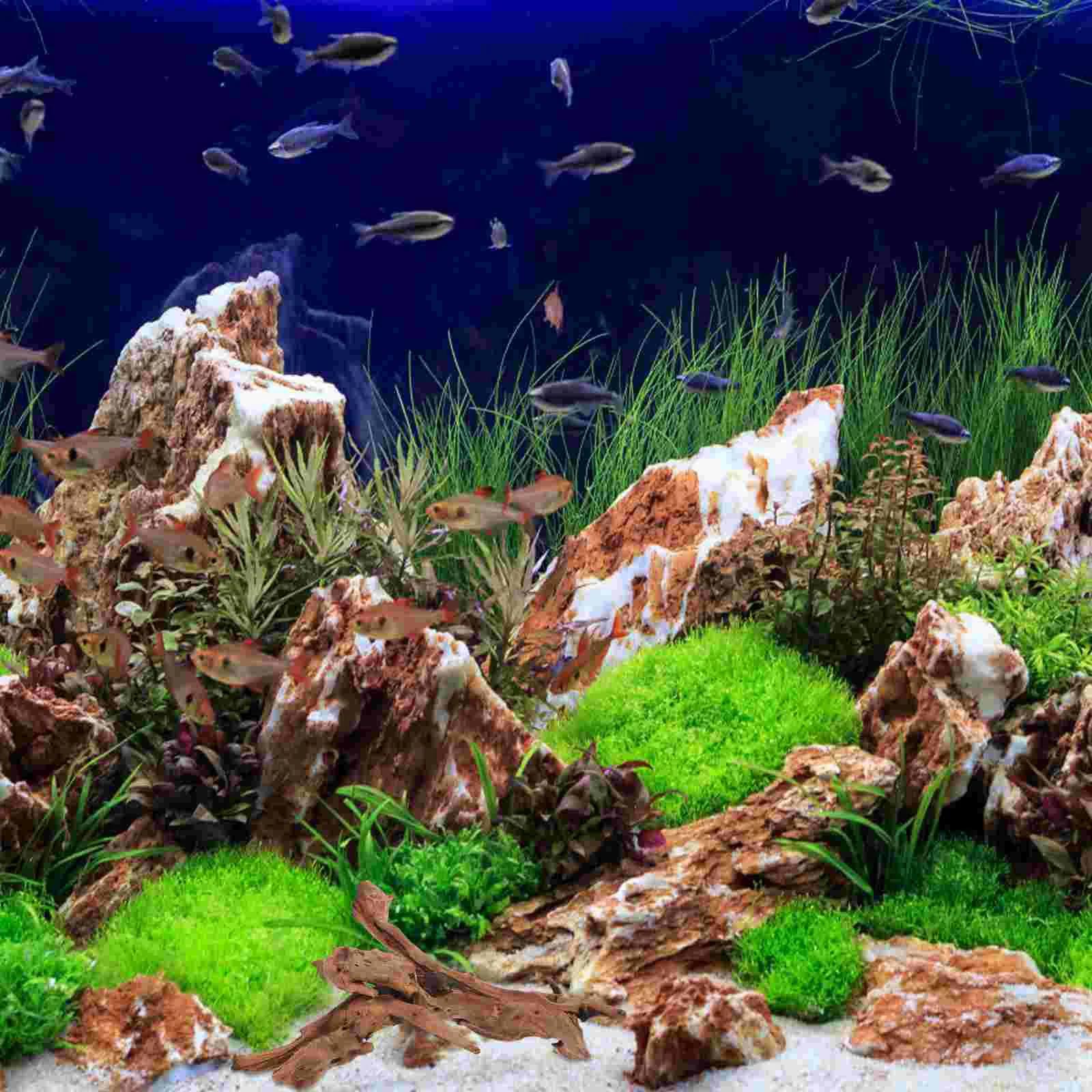 20 25cm Natural Rhododendron Root Decor for Fish Tank Aquarium Log Safe Stable Underwater Reptile Climbing Wood Craft