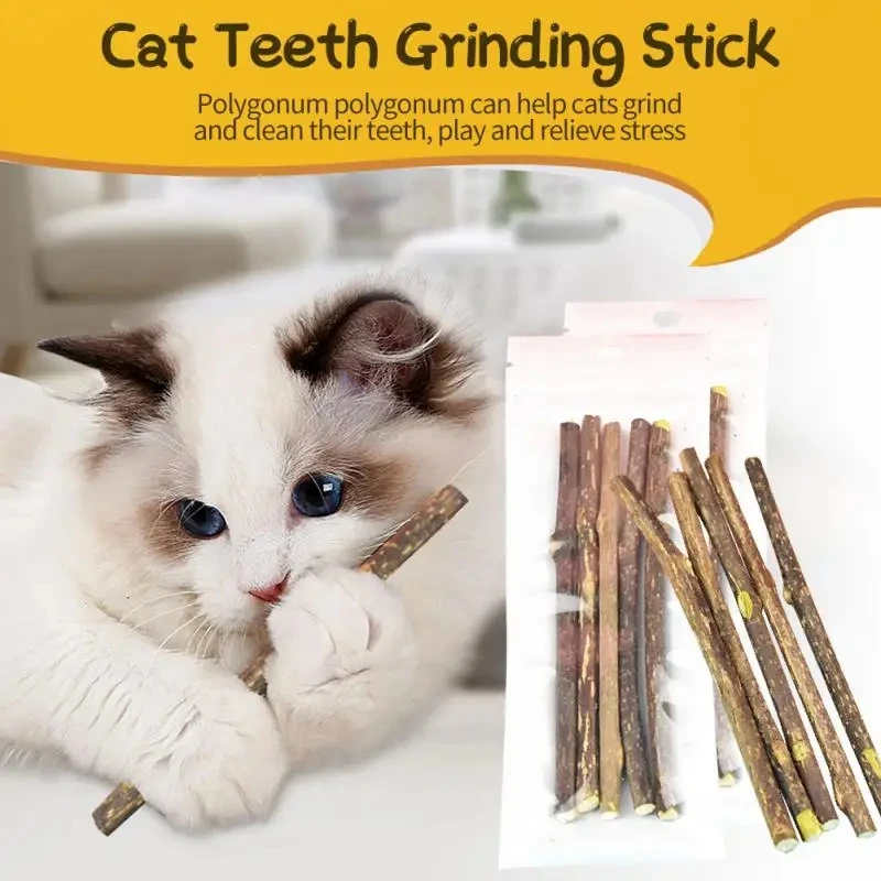 10 Holz Polygonum Greifen Biss Stick Katzen spielzeug Katze liefert Haustier produkte