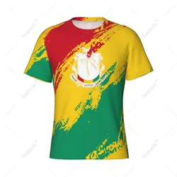 Custom Name Nunber Guinea Flag Color Men Tight Sports T-shirt Women Tees jersey For Soccer Football Fans