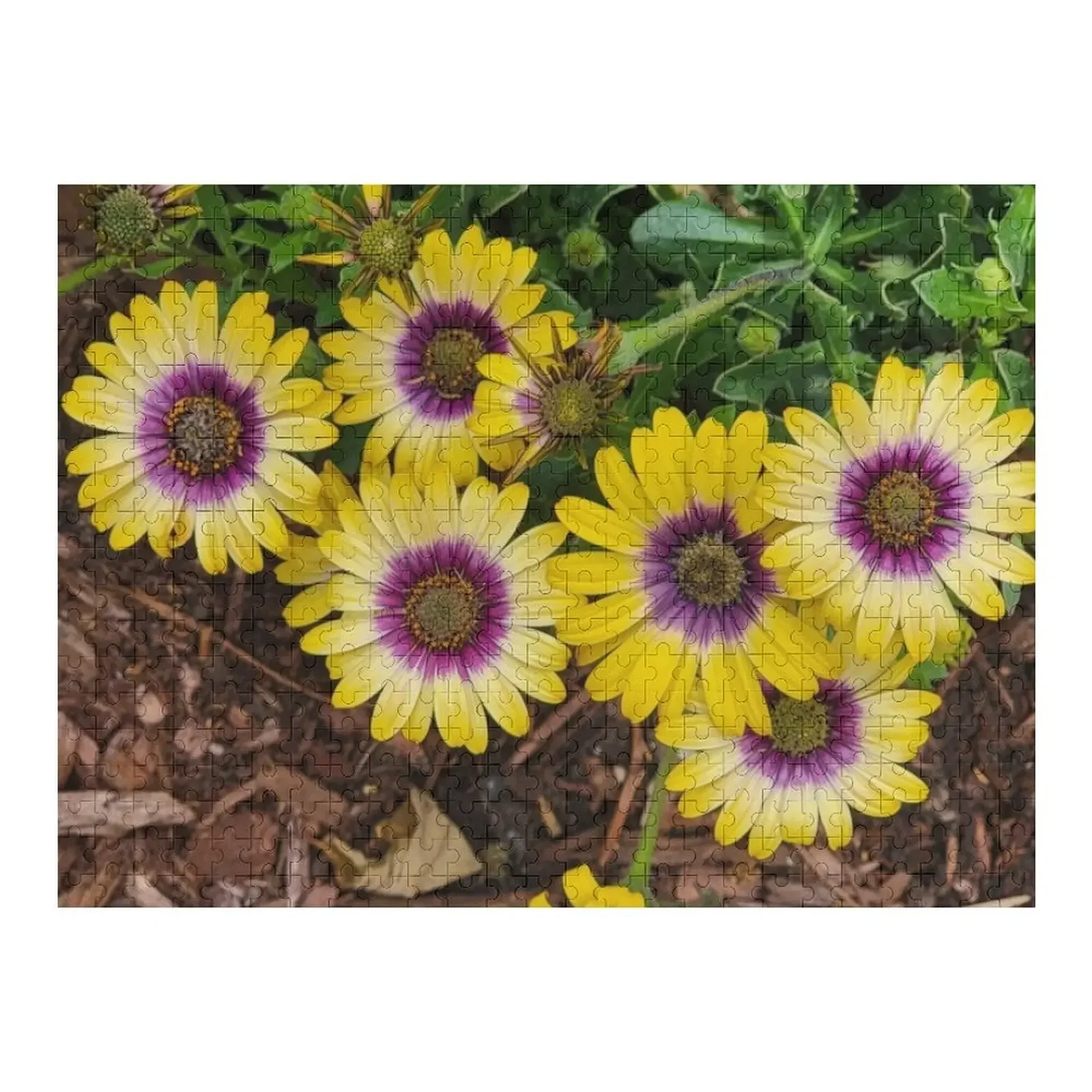 

Пазл African Daisy Photo Персонализированный пазл