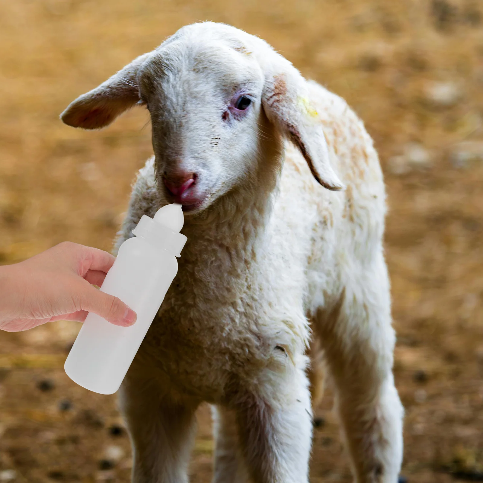

4Pcs Farm Feeding Bottle Durable Pe Material Easy to Clean Portable for Calves Lambs and Sheep Animal Milk Feeder