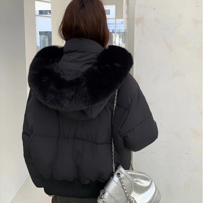เสื้อแจ็คเก็ตบุขนสั้นแฟชั่นฤดูหนาว คอปกขนสัตว์ เสื้อโค้ทผ้าฝ้ายผู้หญิง คอตั้ง สีพื้น เสื้อพาร์กาพองๆ สไตล์หวาน เข้าได้กับทุกชุด