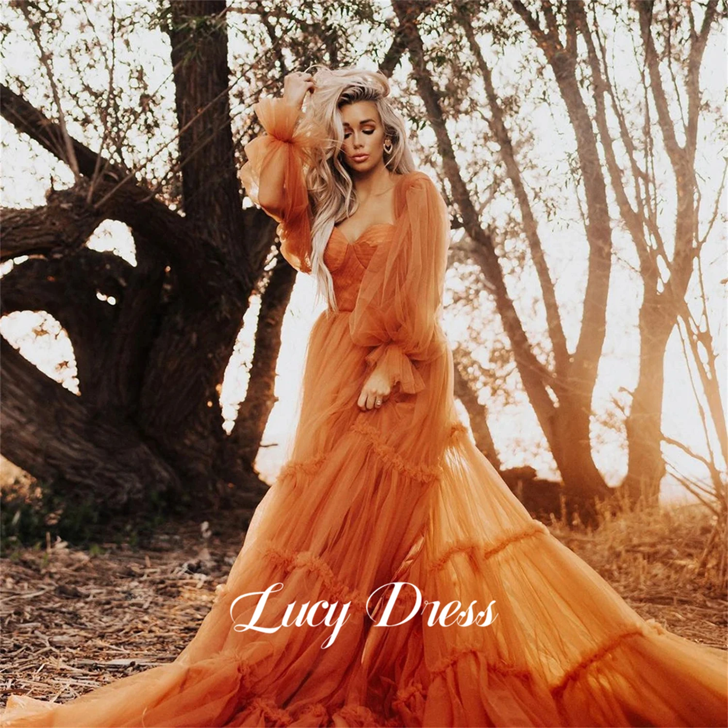 

Lucy Mesh Wedding Dress Orange Color Long Sleeves Party Elegant Evening Dresses 2024 Luxury Robe De Soiree Femmes Woman Prom New