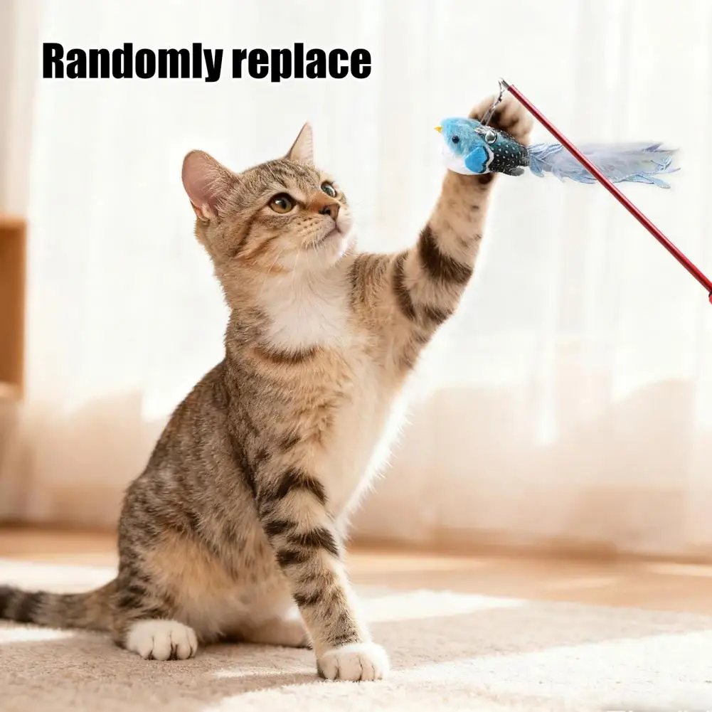 

Игрушка Feline, сменная палочка-дразнилка для кошек, плюшевая птица с перьями, колокольчик, игрушка для кошки для охоты, стимулятор чеканки котенка