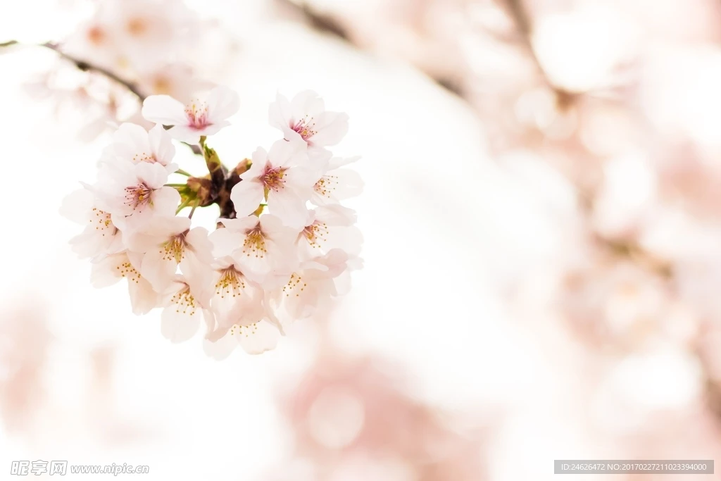 

Комплект из 4 алюминиевых классических дисков 1.9 Beadlock для радиоуправляемых краулеров 1/10: Axial SCX10, TRX4, Bronco, MST CFX, 86100, YK4102, TF2