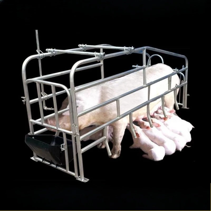 

Manufacturer of simple installation for piglet delivery pens on ground floor beds in breeding farms