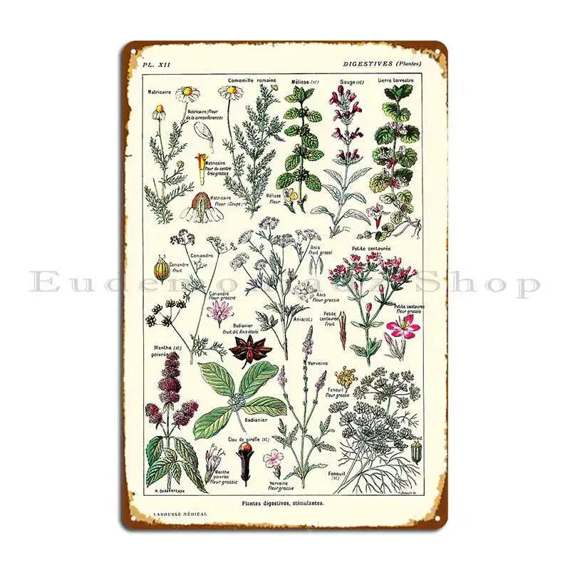 Vintage plantas digestivas Larousse impresión Adolphe Millot letrero de Metal diseñador crear cine clásico cartel de estaño cartel
