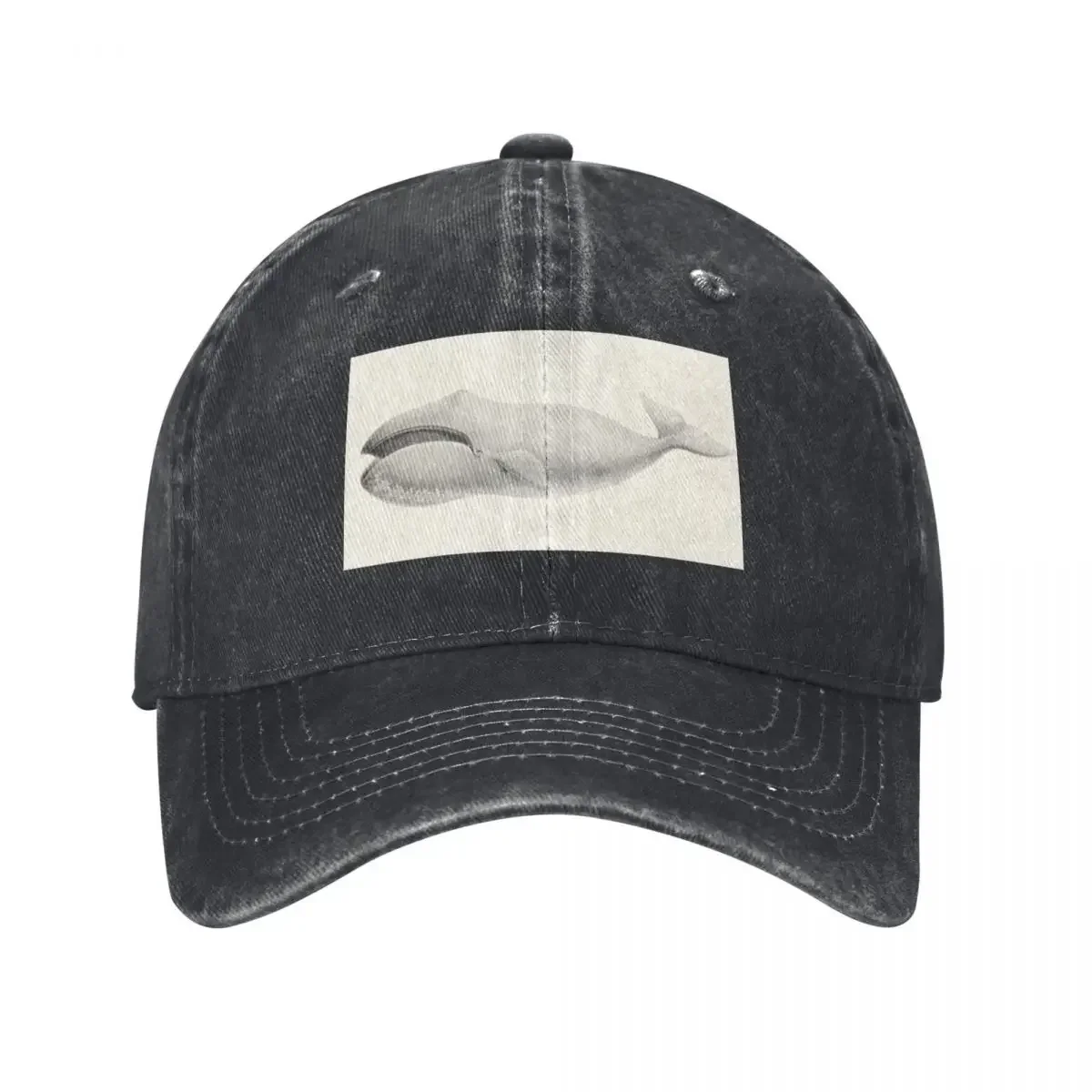 Whale - Bowhead Whale by Charles Melville Scammon. Baseball Cap Golf Hat Rugby New Hat Women's Beach Outlet 2026 Men's