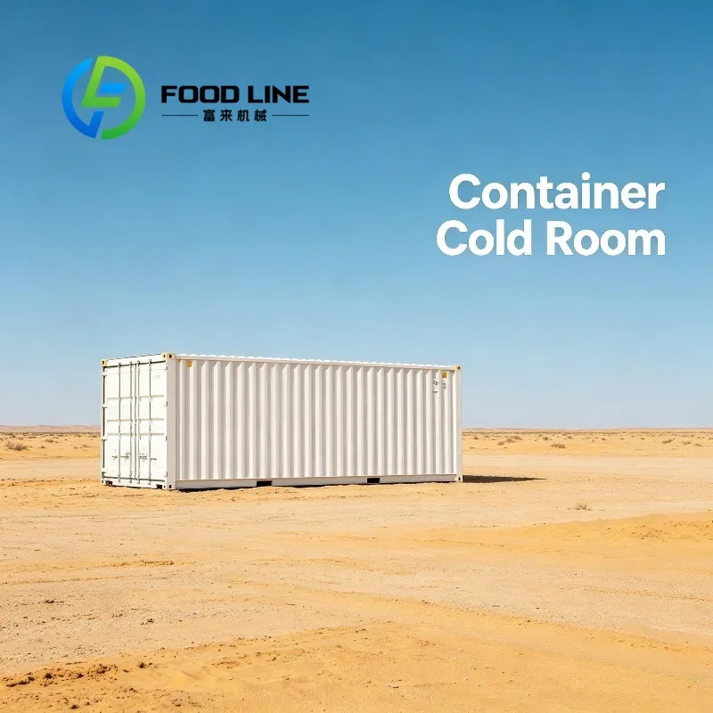 Logistics Industrial 40Ft Container Cold Room Standard Shipping Container Design Fits Road And Ocean Intermodal Transportation